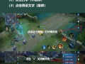 王者荣耀国外视频教学 - 王者荣耀国外视频教学在线观看