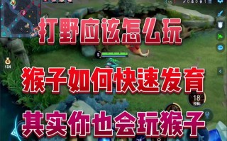 王者荣耀猴子实战教学 - 2021王者荣耀猴子技巧攻略