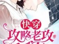 综完美攻略 - 综完美攻略txt