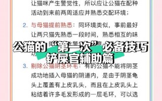 阴阳师猫咪玩球 - 阴阳师猫猫大转盘在哪