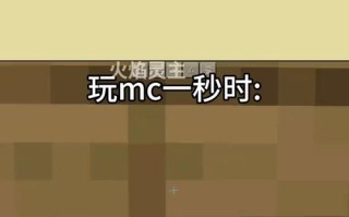 爱玩我的世界的明星 - 喜欢玩我的世界的明星