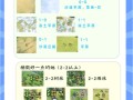 文明6新手攻略 - 文明6新手攻略 视频