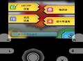 口袋金攻略 - nds口袋金攻略