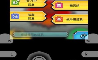 口袋金攻略 - nds口袋金攻略