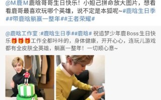王者荣耀知名玩家 - 王者荣耀最牛玩家排名