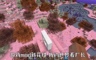 敖厂长玩的我的世界 - 敖厂长解说