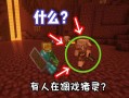 敌对玩家我的世界 - 我的世界敌对入侵mod