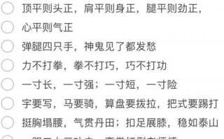 美女攻略系统 - 女神攻略手册温婷温岚