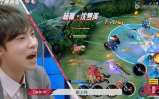 明星玩王者荣耀的节目 - 明星玩王者视频