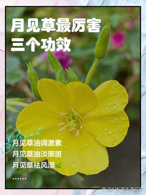 历劫月光草攻略3x - 历劫月光草攻略3星隐藏任务 历劫月光草攻略3x - 历劫月光草攻略3星隐藏任务