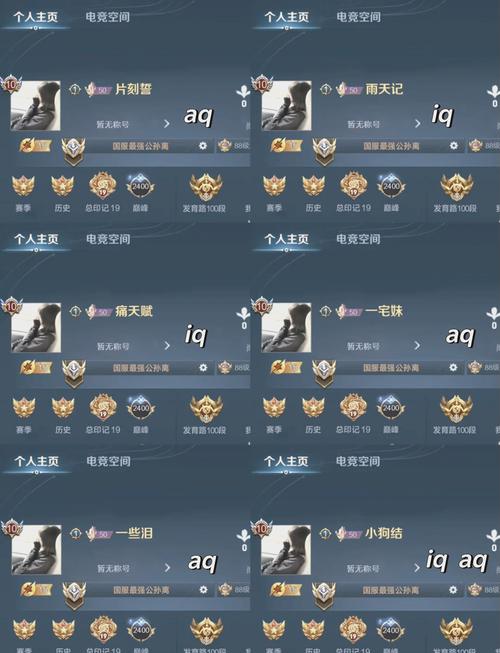 王者荣耀玩家名字 - 王者荣耀玩家名字6个是什么意思 王者荣耀玩家名字 - 王者荣耀玩家名字6个是什么意思