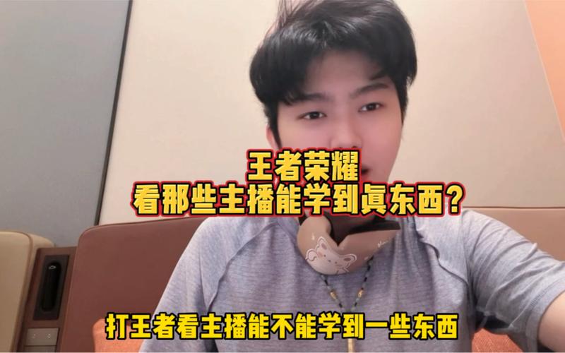 北笙教学王者荣耀 - 王者荣耀北笙打过职业吗 北笙教学王者荣耀 - 王者荣耀北笙打过职业吗