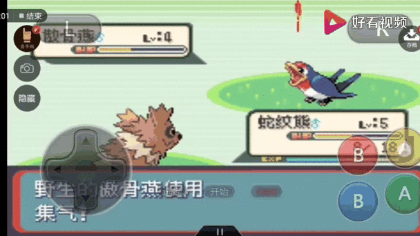 口袋妖怪蛇纹木攻略 - 口袋妖怪蛇纹木攻略图文全过程 口袋妖怪蛇纹木攻略 - 口袋妖怪蛇纹木攻略图文全过程