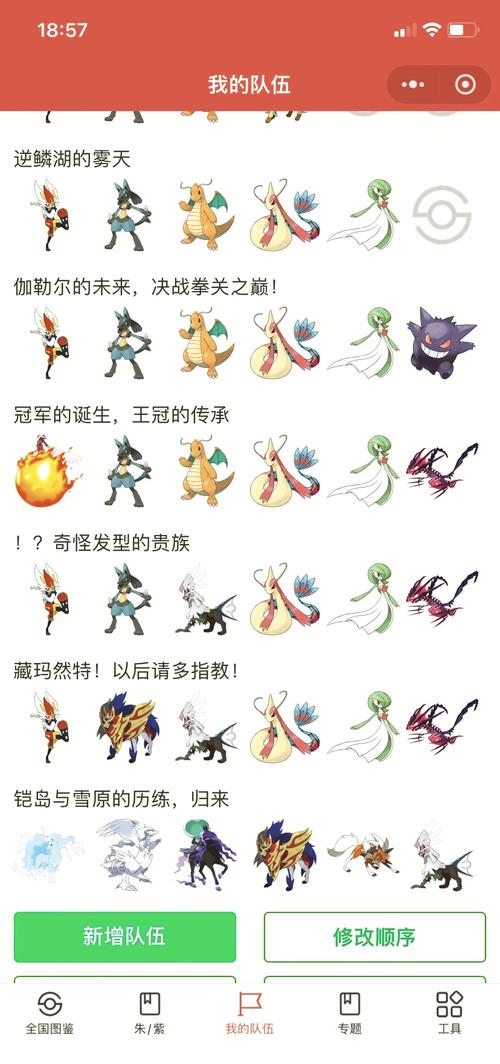 口袋妖怪漆黑的魅影图文攻略 - 漆黑的魅影一至三周目攻略 口袋妖怪漆黑的魅影图文攻略 - 漆黑的魅影一至三周目攻略