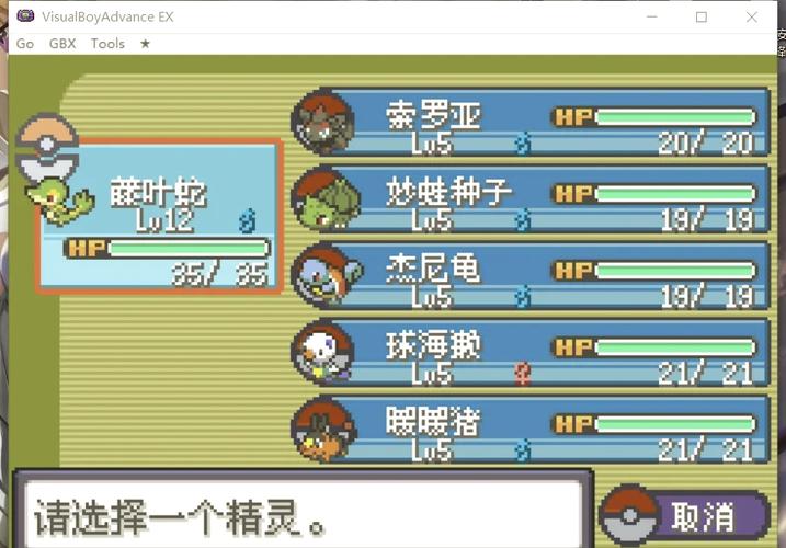 口袋妖怪漆黑的魅影图文攻略 - 漆黑的魅影一至三周目攻略 口袋妖怪漆黑的魅影图文攻略 - 漆黑的魅影一至三周目攻略