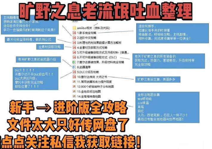 塞尔达传说前期攻略 - 塞尔达传说前期攻略大全 塞尔达传说前期攻略 - 塞尔达传说前期攻略大全