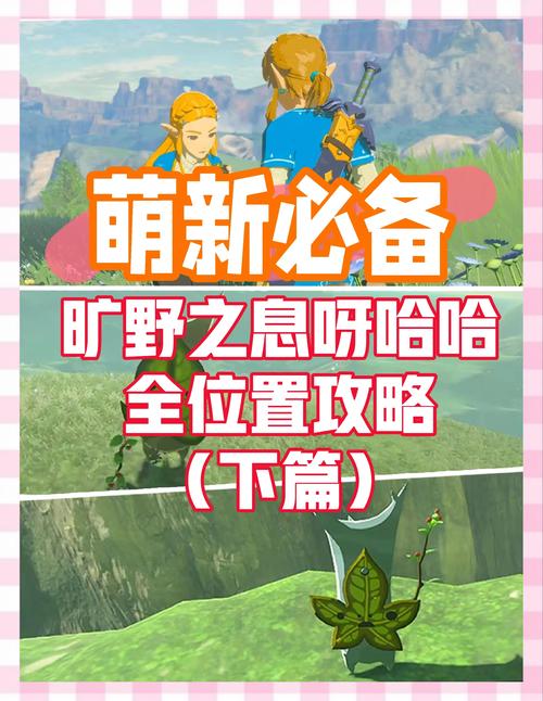 塞尔达传说前期攻略 - 塞尔达传说前期攻略大全 塞尔达传说前期攻略 - 塞尔达传说前期攻略大全