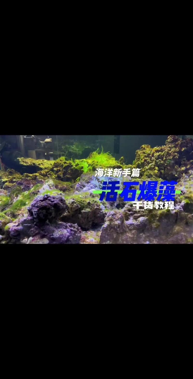 海水缸新手攻略 - 海水缸新手攻略完整版 海水缸新手攻略 - 海水缸新手攻略完整版