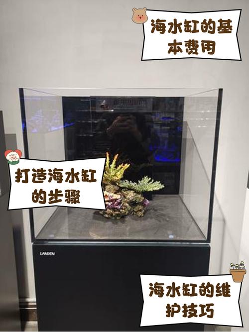 海水缸新手攻略 - 海水缸新手攻略完整版 海水缸新手攻略 - 海水缸新手攻略完整版