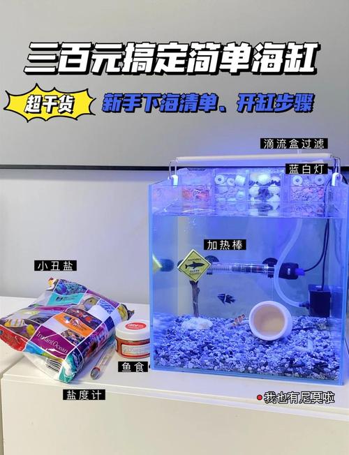海水缸新手攻略 - 海水缸新手攻略完整版 海水缸新手攻略 - 海水缸新手攻略完整版