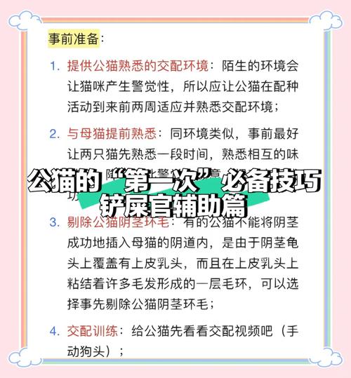 阴阳师猫咪玩球 - 阴阳师猫猫大转盘在哪 阴阳师猫咪玩球 - 阴阳师猫猫大转盘在哪
