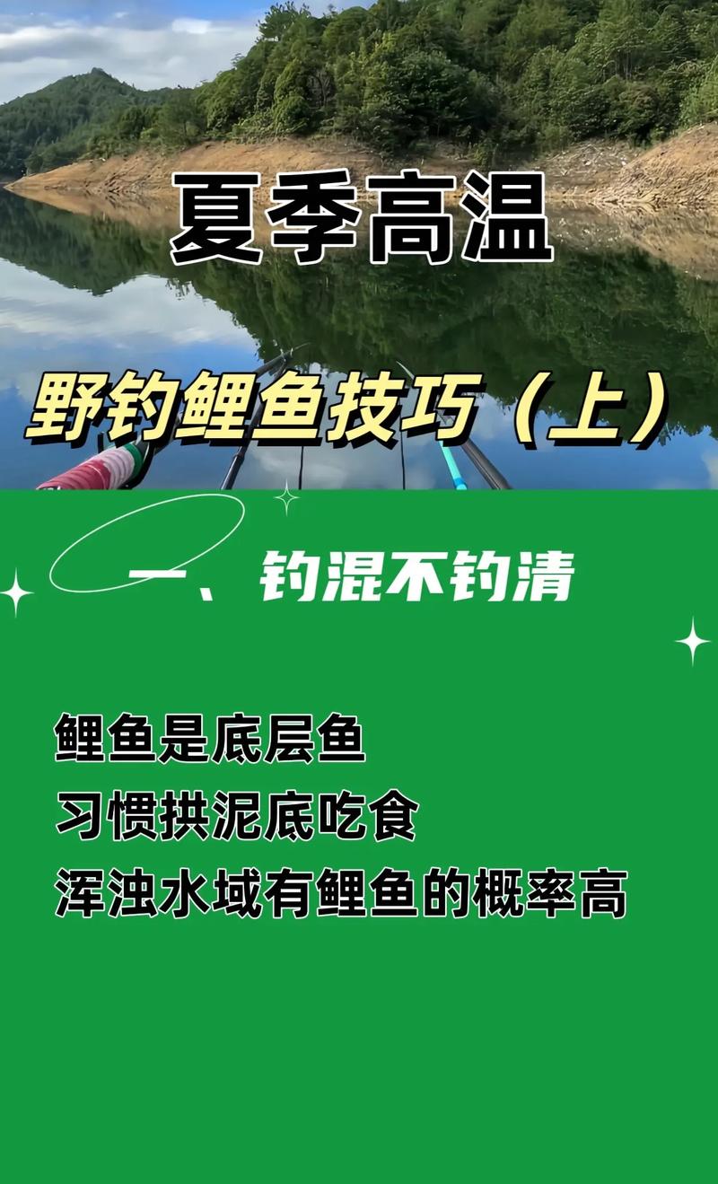 野钓全攻略 - 野钓全攻略程林 野钓全攻略 - 野钓全攻略程林