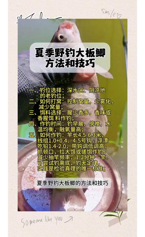 野钓全攻略 - 野钓全攻略程林 野钓全攻略 - 野钓全攻略程林