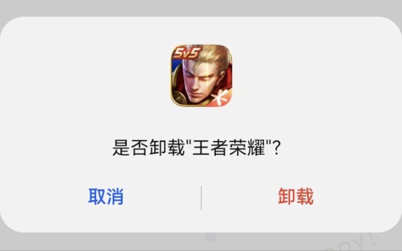 再玩王者荣耀剁手 - 再玩王者荣耀剁手 表情包