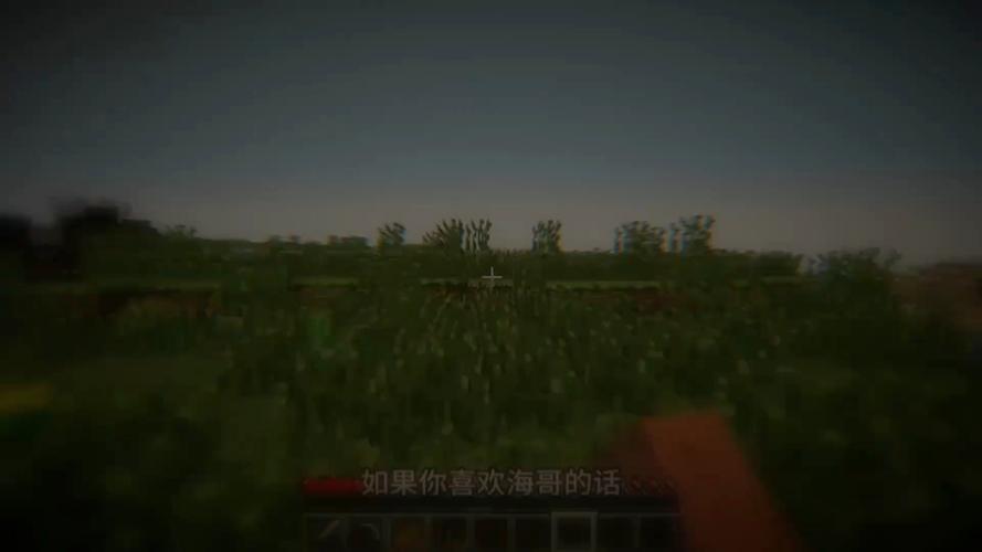 大海玩的我的世界 - 大海玩我的世界恐怖游戏