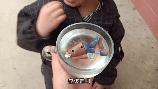 僵尸生活攻略 - 僵尸生活攻略 全角色