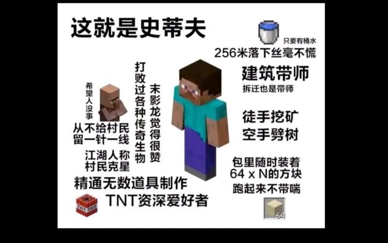 第一次玩我的世界 - 第一次玩我的世界宝可梦双人